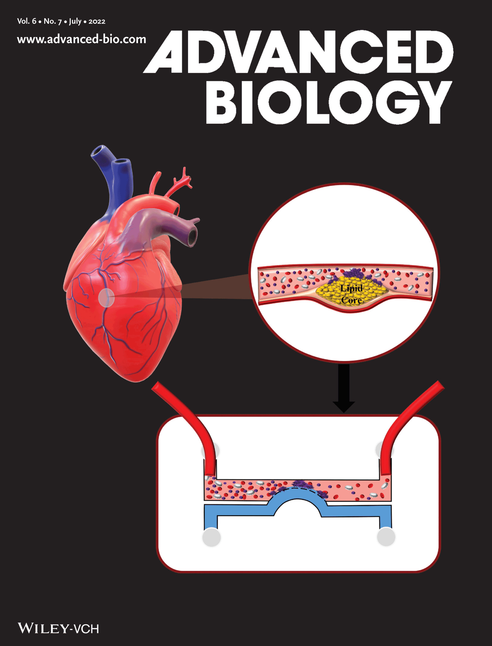 Diabetologia